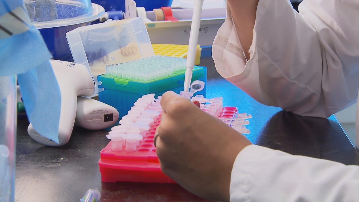 Des travaux de recherche sont menés dans un laboratoire d'un centre hospitalier.