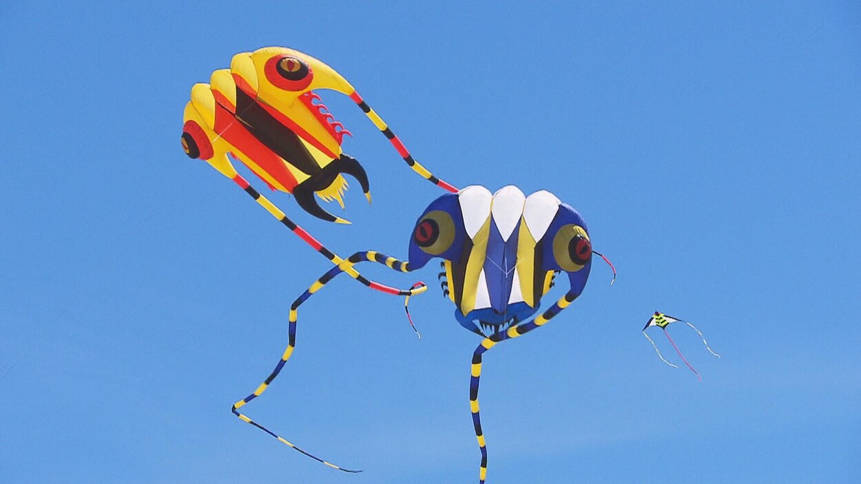 Deux cerfs-volants flottent sous ciel dégagé.