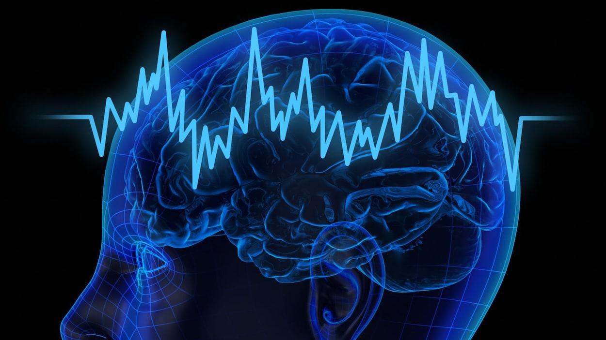 Illustration d'un cerveau humain Illustration d'un cerveau humain