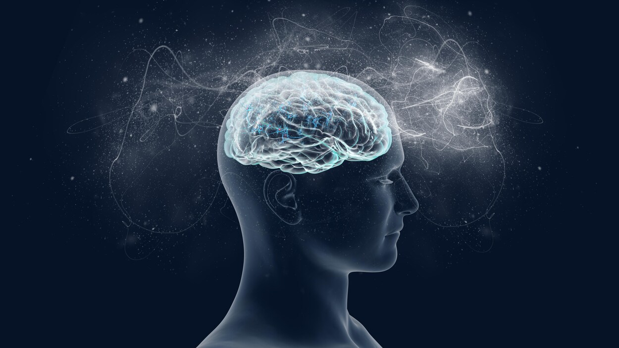 Illustration d'un cerveau.