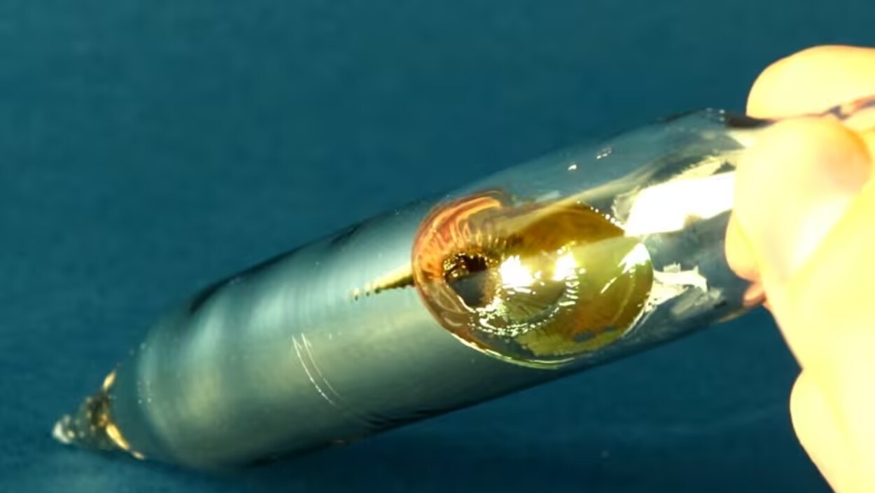 Le propriétaire d’une mine de césium, au Manitoba, veut assécher