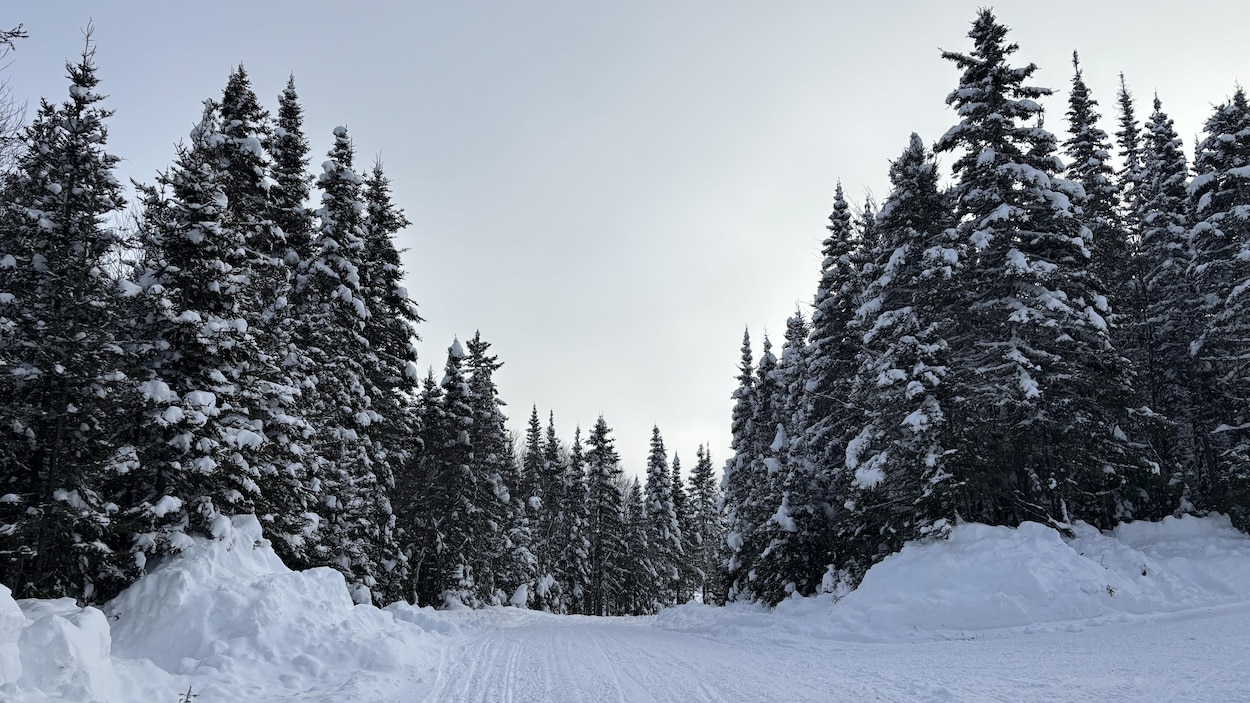 Un début de saison de motoneige en deux temps dans la région