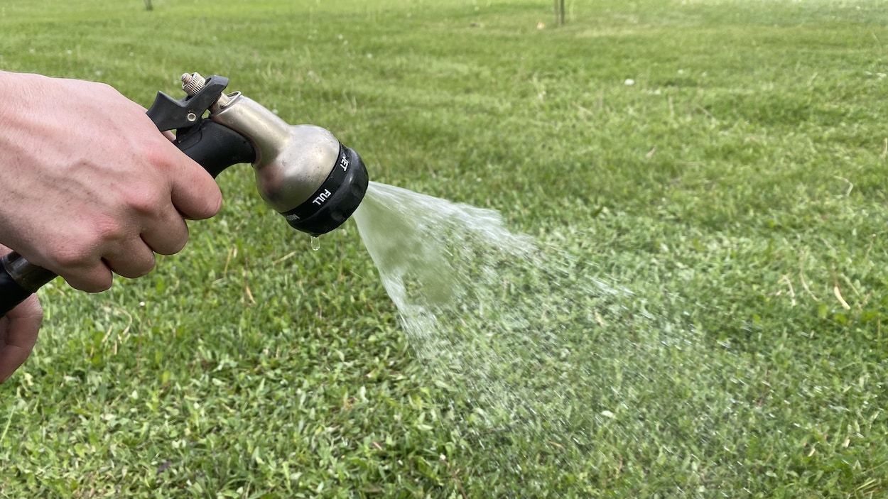 Une pénurie d’eau est imminente pour la municipalité de Palmarolle