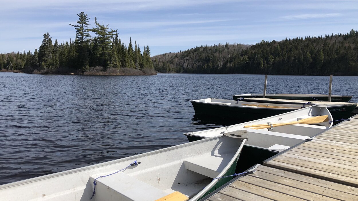 Des chaloupes attachées à un quai sur un lac.