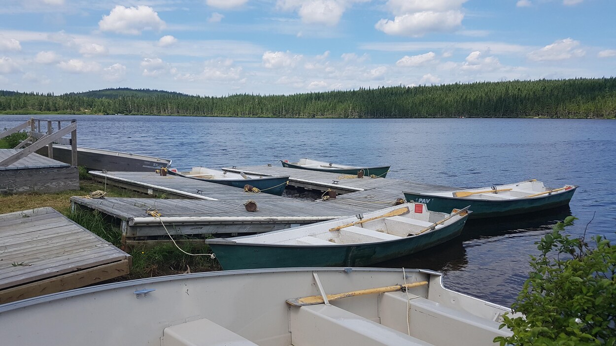 Des chaloupes sont amarrées à des pontons de bois sur un lac Des chaloupes sont amarrées à des pontons de bois sur un lac
