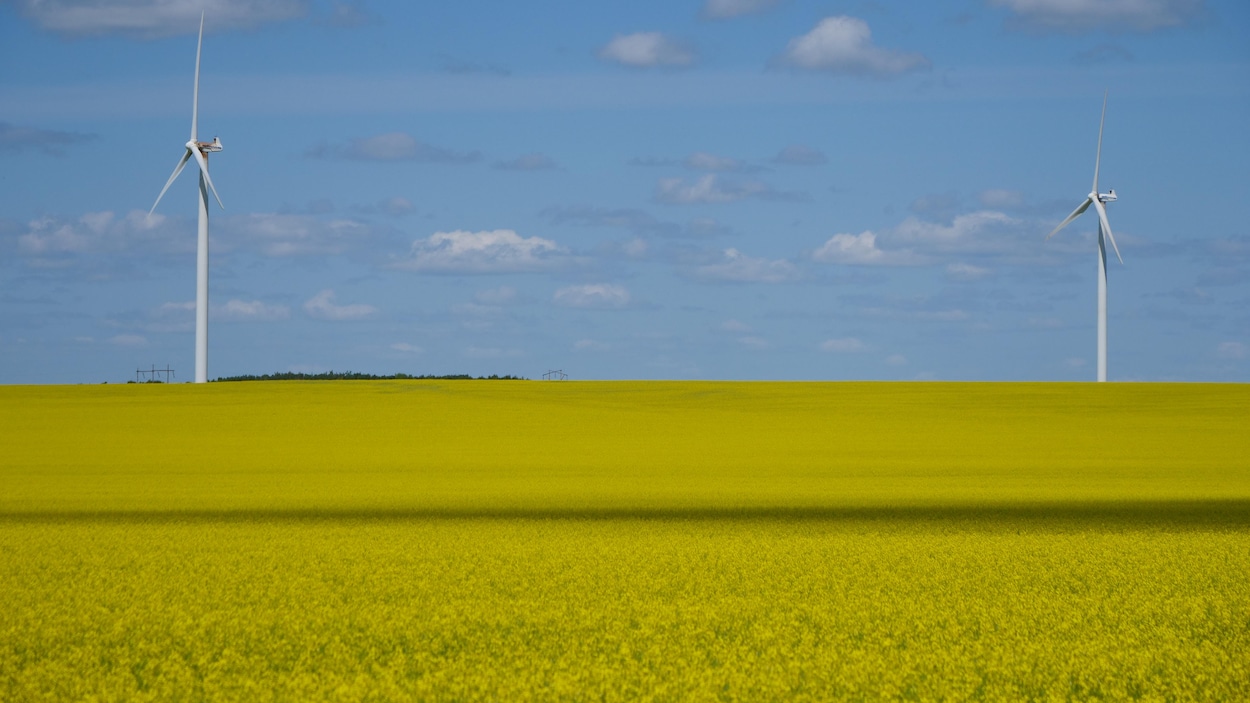 Parcs éoliens au Manitoba : l’opacité autour des futurs partenaires dénoncée