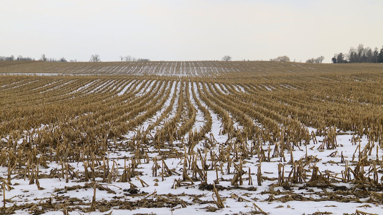 Pickering pourrait bientôt développer des terres agricoles malgré l’opposition