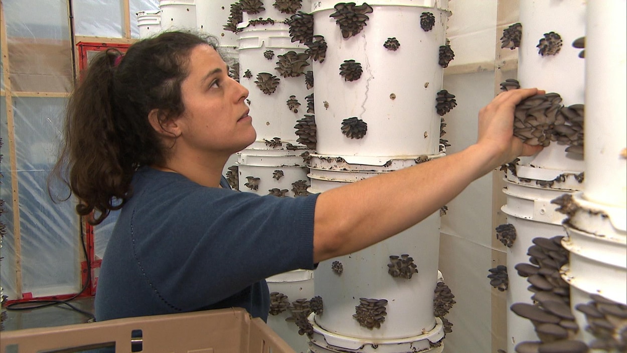 Dominique Lynch-Gauthier fait pousser des champignons dans un entrepôt à Montréal. 