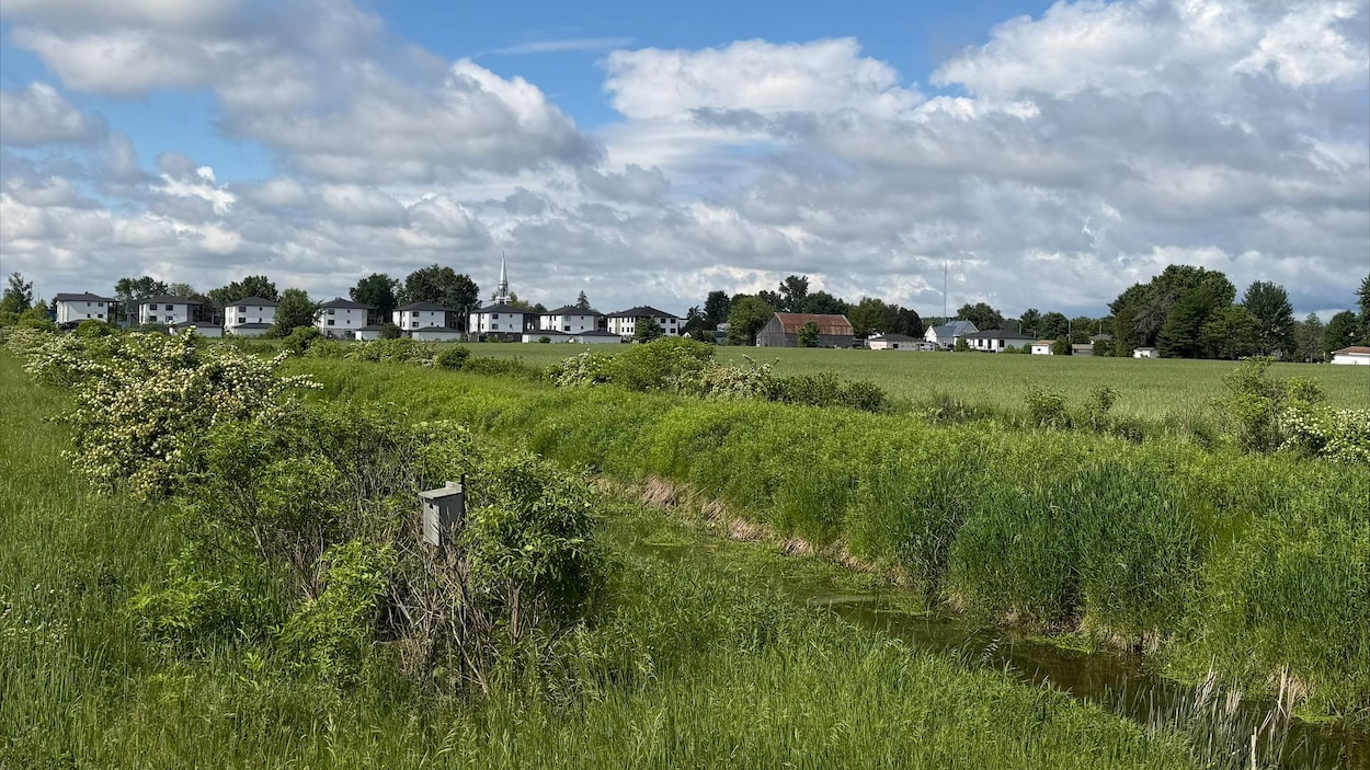 Des producteurs agricoles de l’Estrie passent à l’action pour protéger la biodiversité