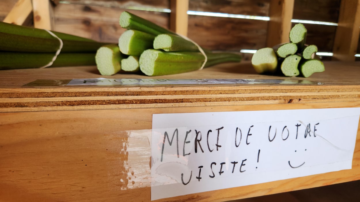 Des agriculteurs dénoncent des incivilités dans leurs champs
