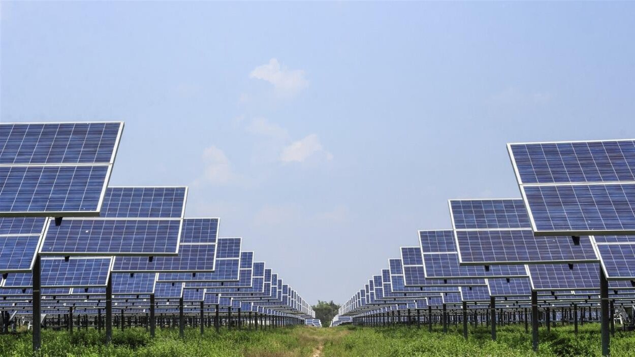 Un parc de panneaux solaires.