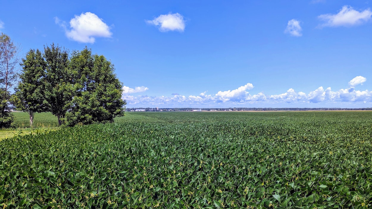 Après un été 2025 difficile, les récoltes des agriculteurs rebondissent