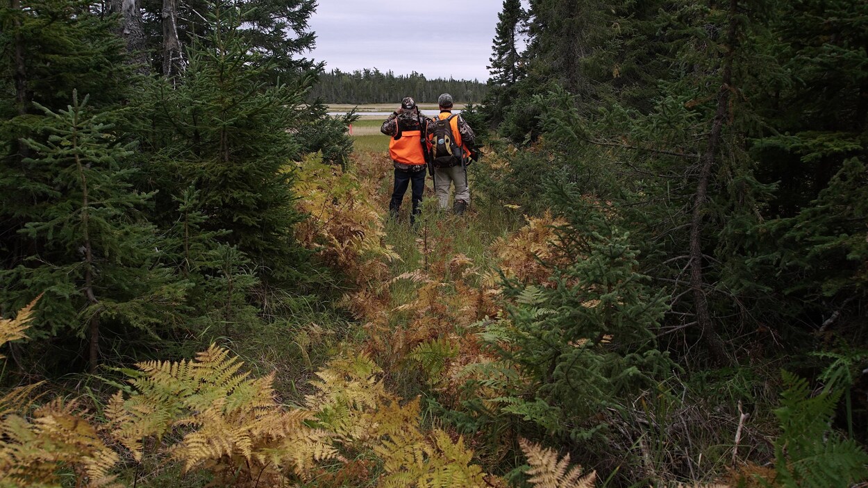 Deux chasseurs à l'orée d'un bois observe une étendue ouverte.