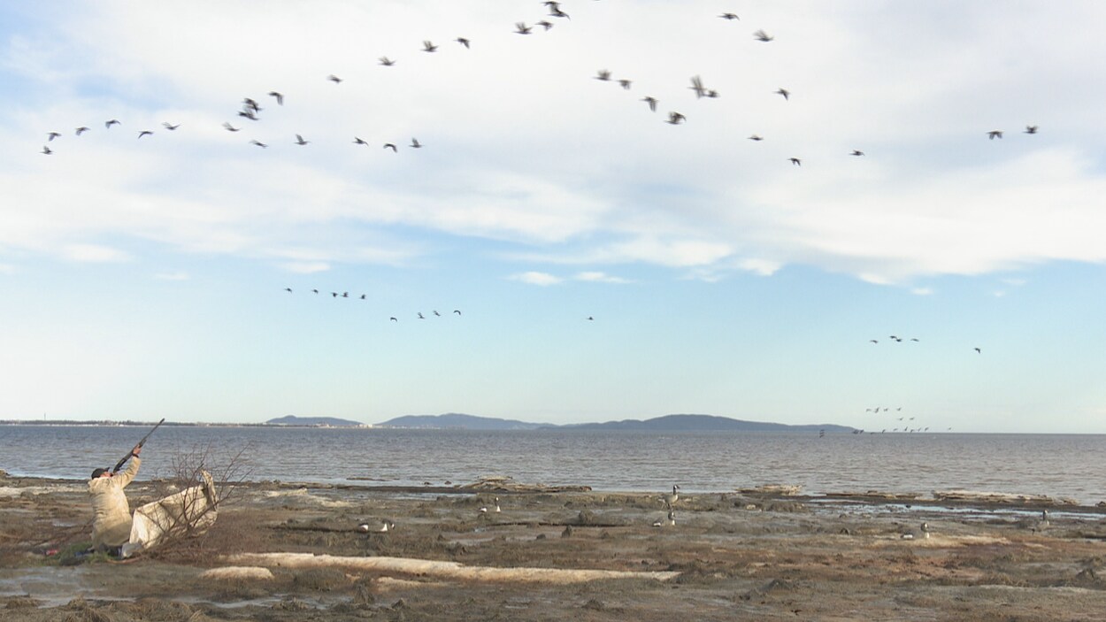 La chasse aux oiseaux migrateurs une tradition pour les Innus