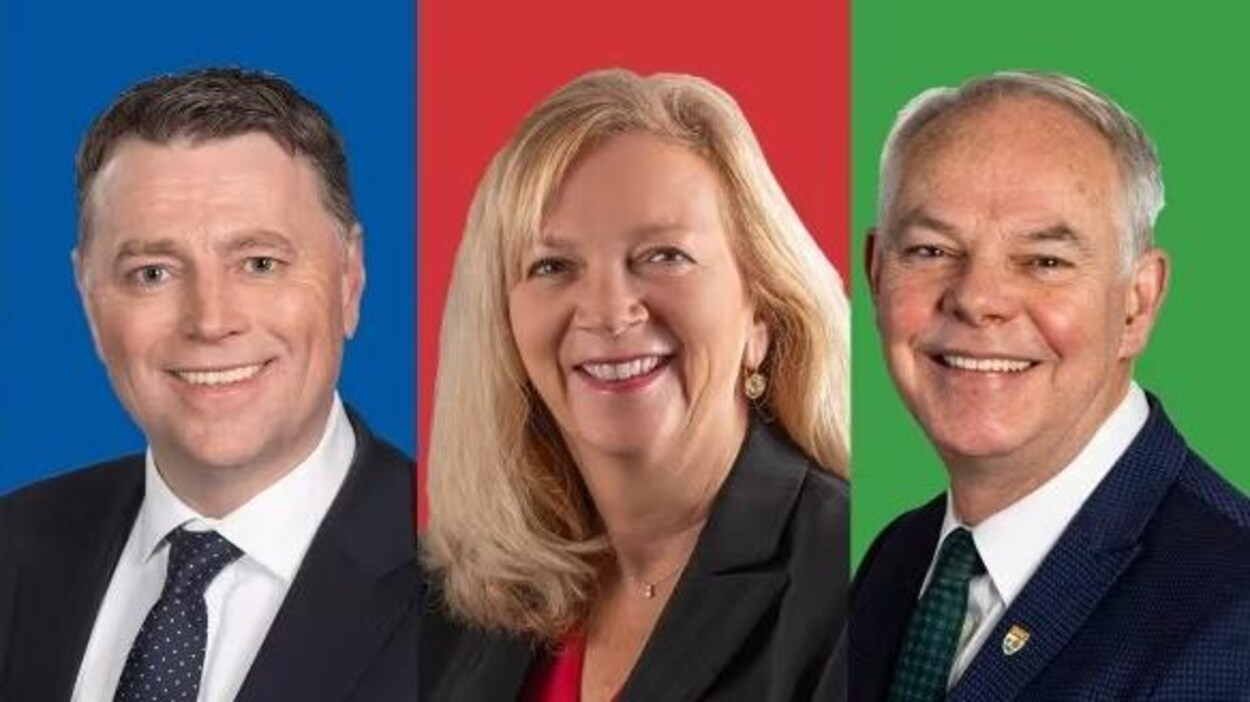 Élection à l’Î.P.É. parmi les déclarations des candidats, quelques exagérations Les