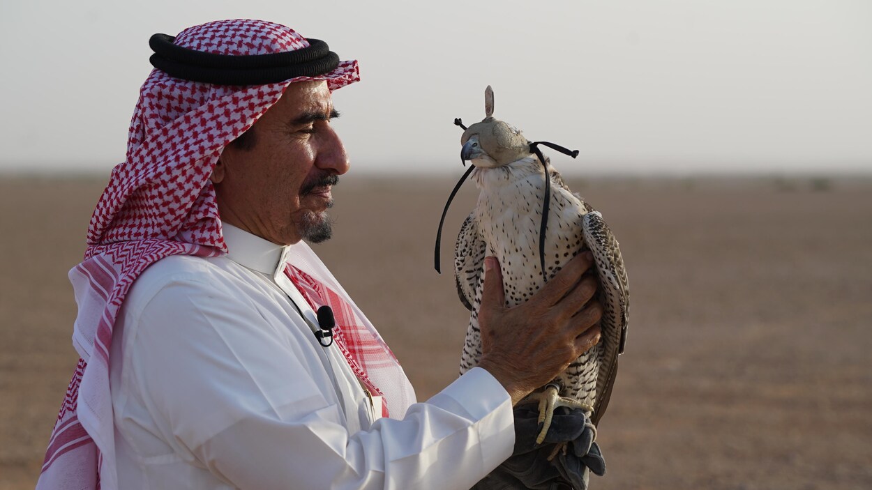 Le cheik Faisal tient son faucon sur son avant-bras.
