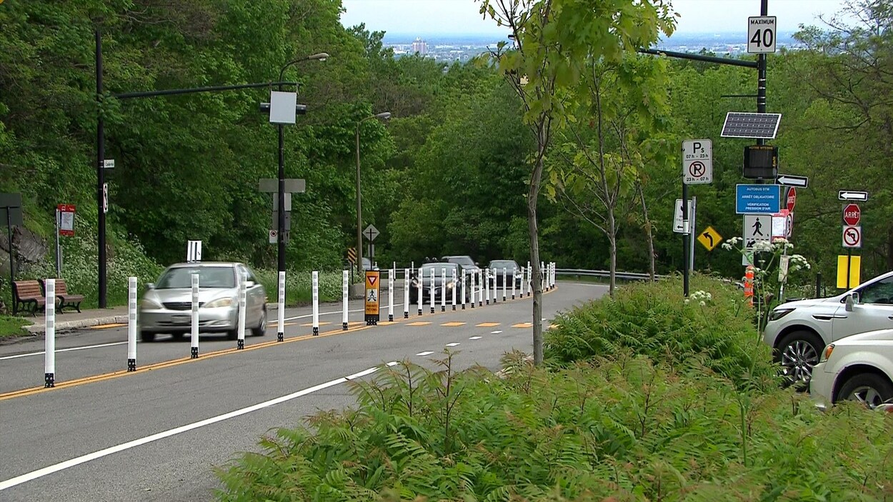 Plan général de la voie, avec les bollards.