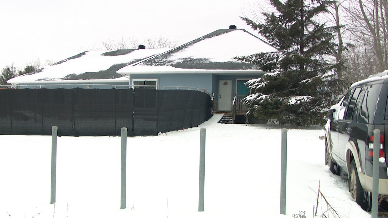 Un chenil de Gatineau dans la tourmente après une série d’attaques de chiens