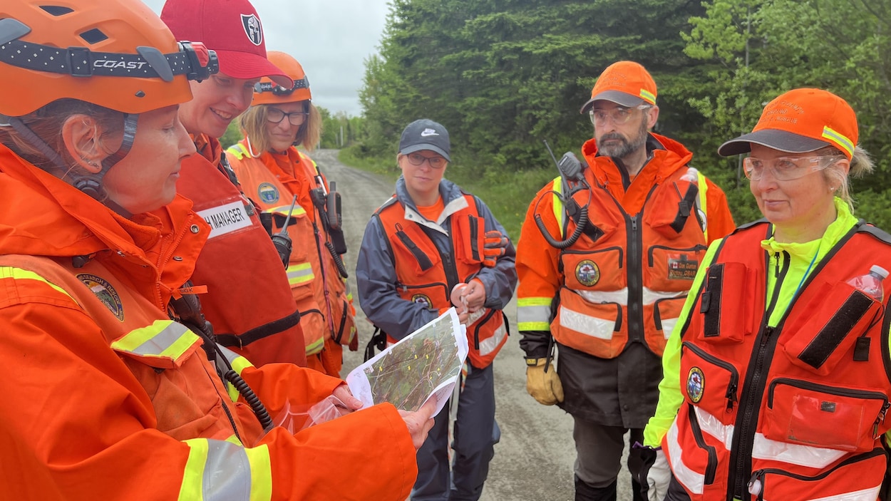 Environ 75 volontaires à la recherche de Lilly et Jack Sullivan dans un nouveau secteur