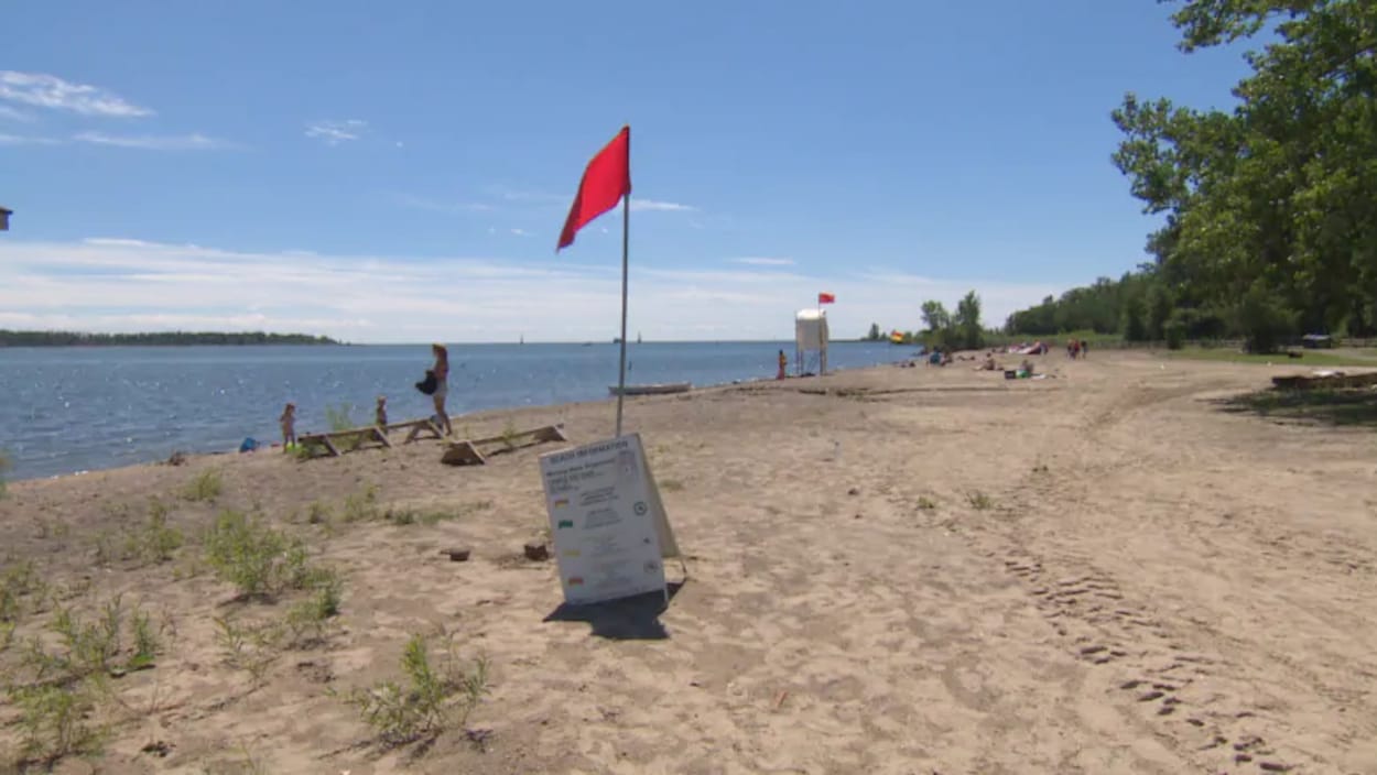 Une plage, près d'une étendue d'eau, avec des gens qui déambulent et un drapeau rouge planté dans le sol près d'une pancarte de consignes.