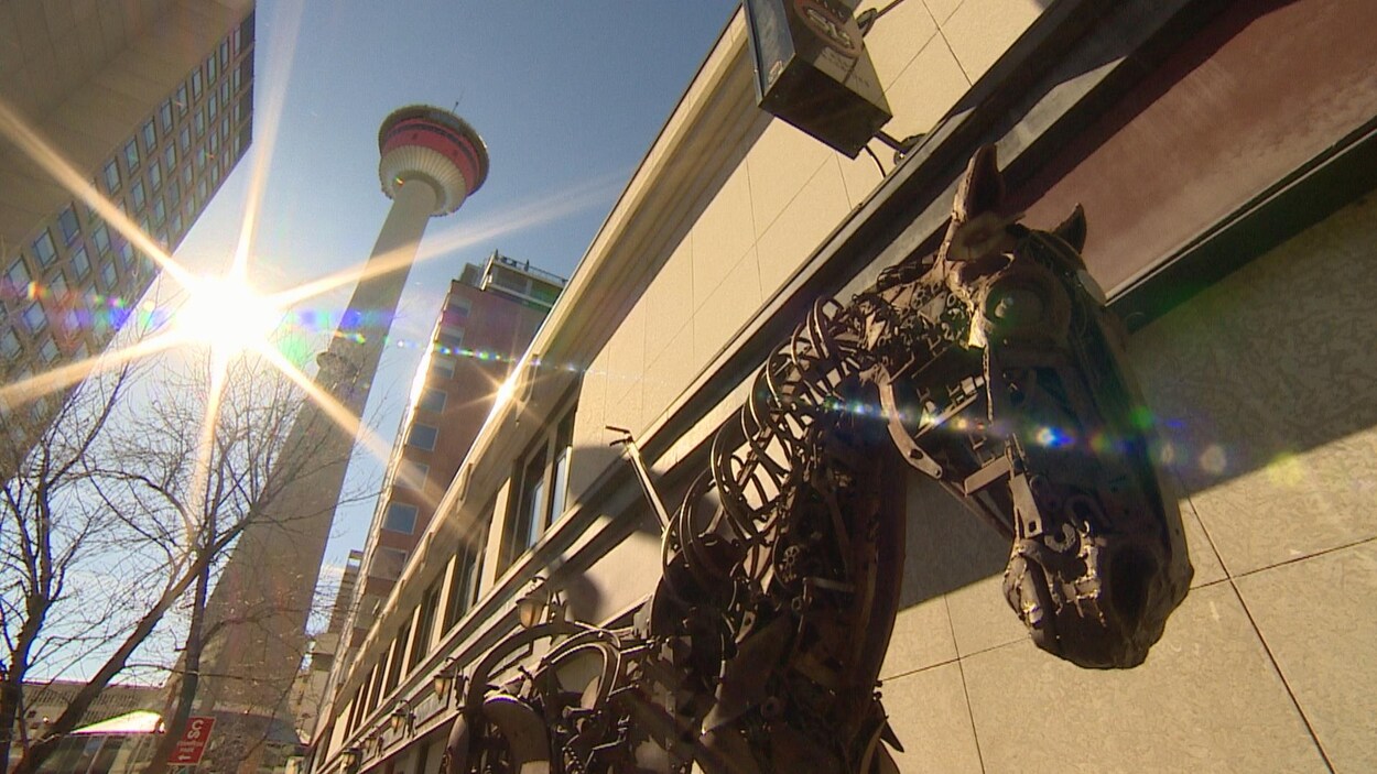Une image d'une rue à Calgary. Au premier-plan, une statue de cheval en métal. En arrière-plan la Calgary Tower.