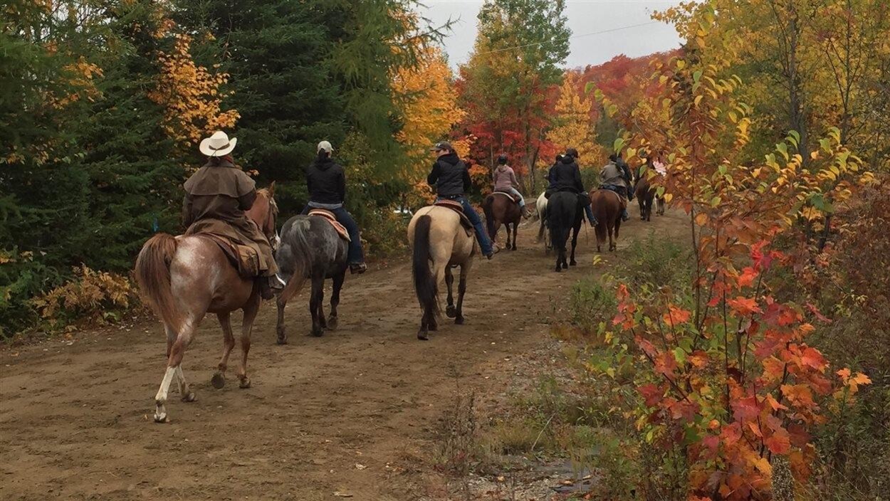 Équestre rencontres Canada