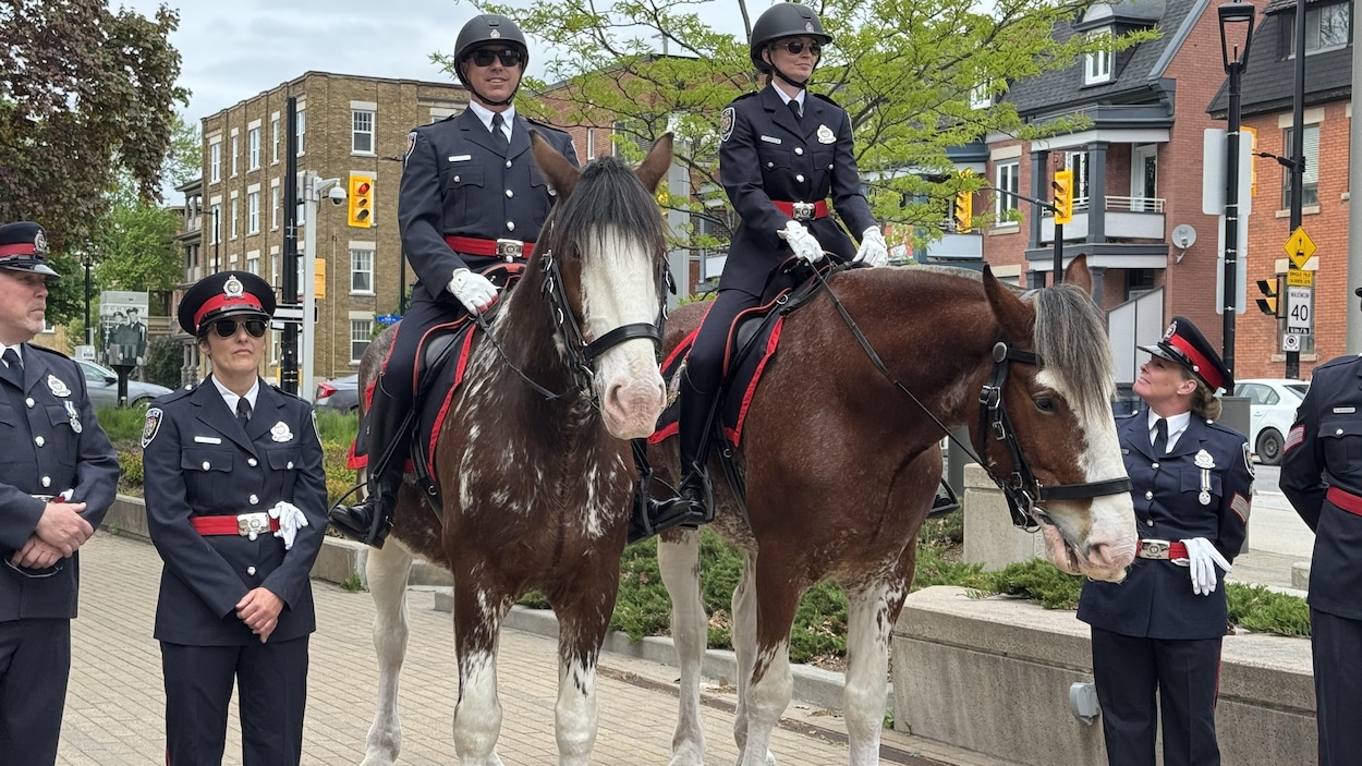 La cavalerie débarque à la police d’Ottawa
