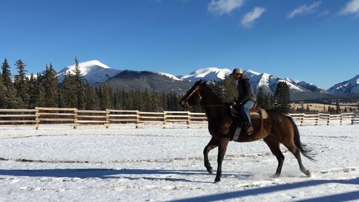 Un cavalier sur un cheval. Un cavalier sur un cheval.