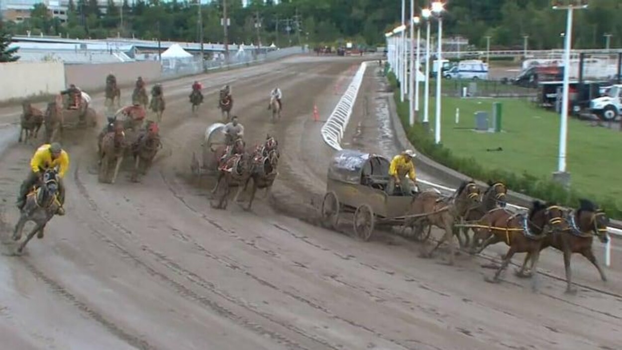 Des conducteurs de chevaux font la course sur une piste de Stampede de Calgary.