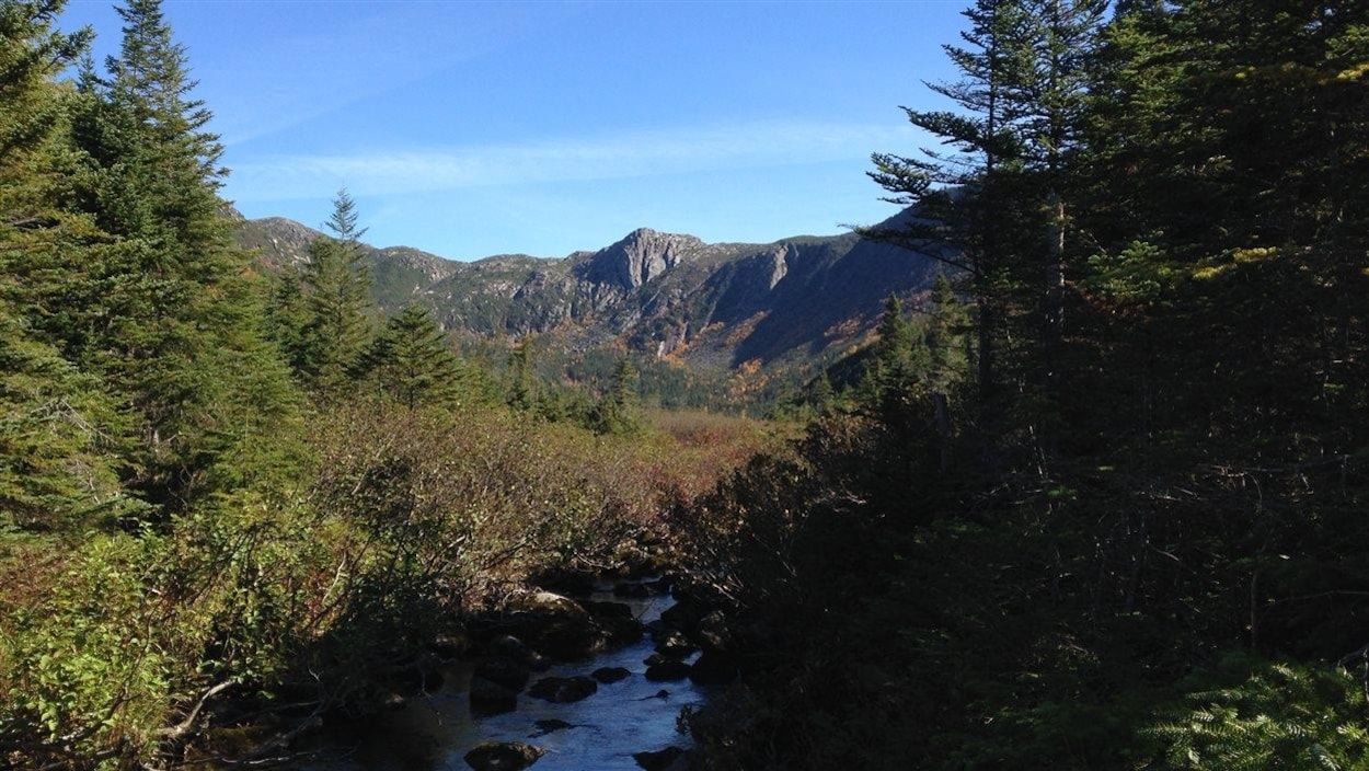 Le parc de la Gaspésie Le parc de la Gaspésie