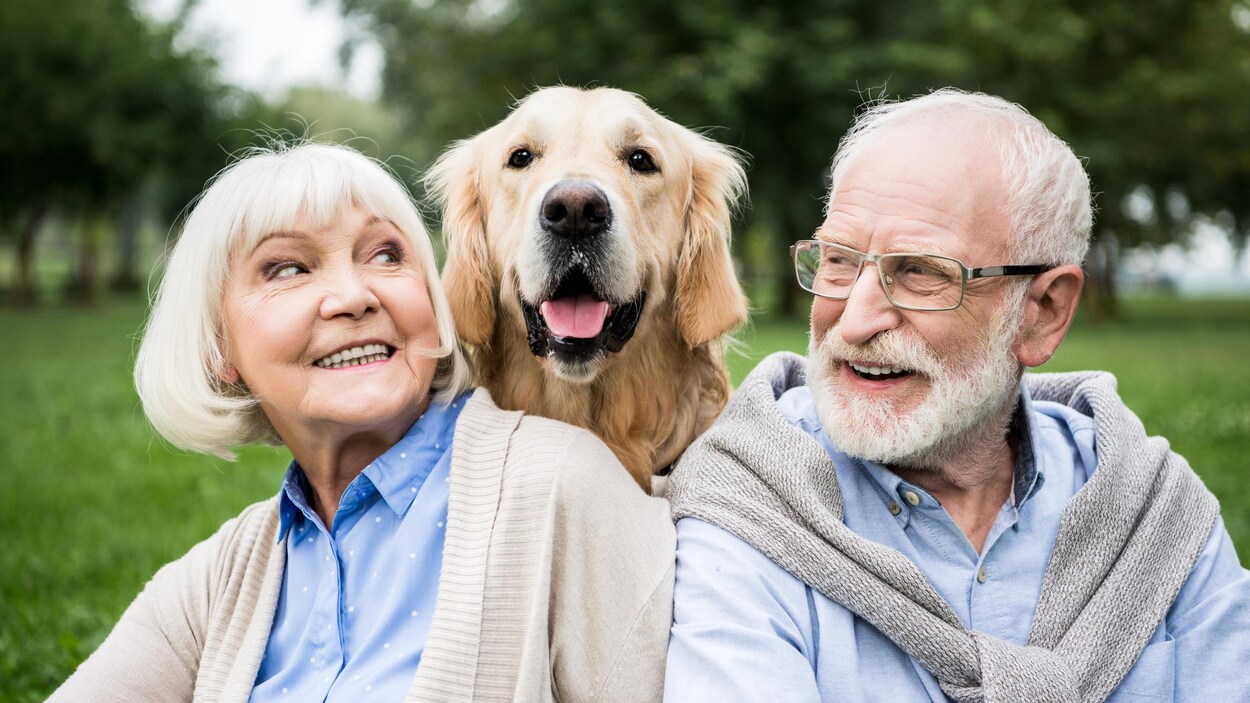 Un couple entourant un chien.