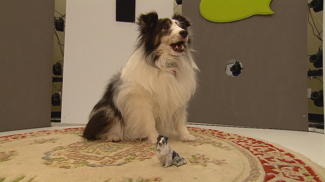 Un chien et une figurine le représentant. Un chien et une figurine le représentant.