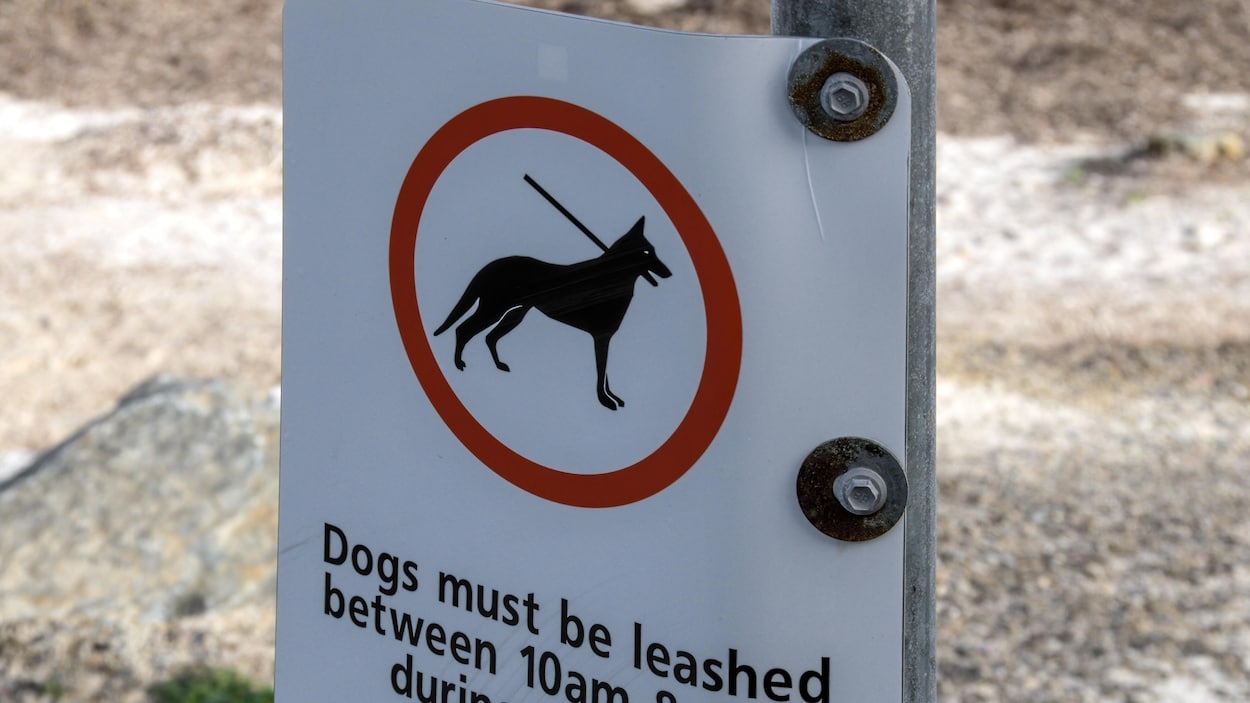 Des sentiers d’activités de plein air sont fermés temporairement à Shediac