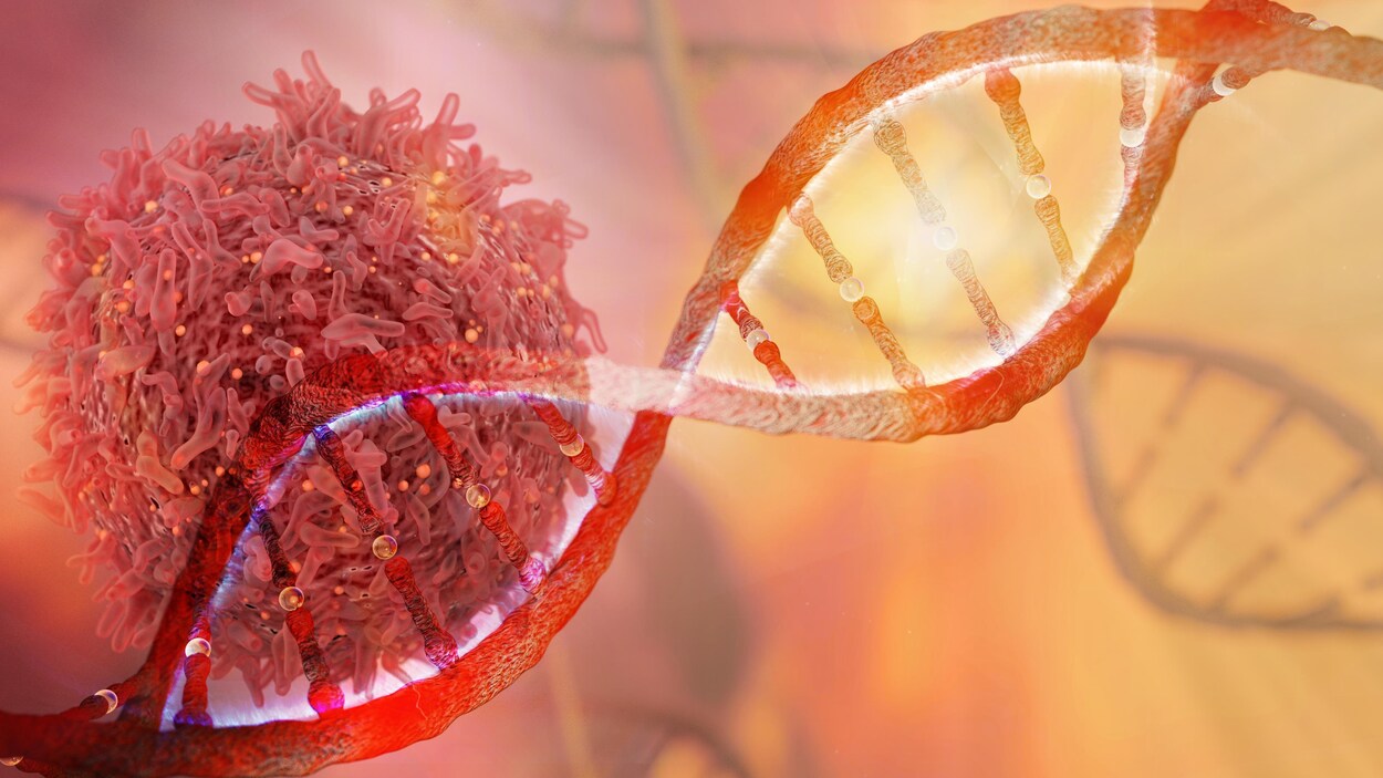 Tous les cancers sont causés par un changement permanent ou une lésion qui est survenu dans un ou plusieurs gènes.