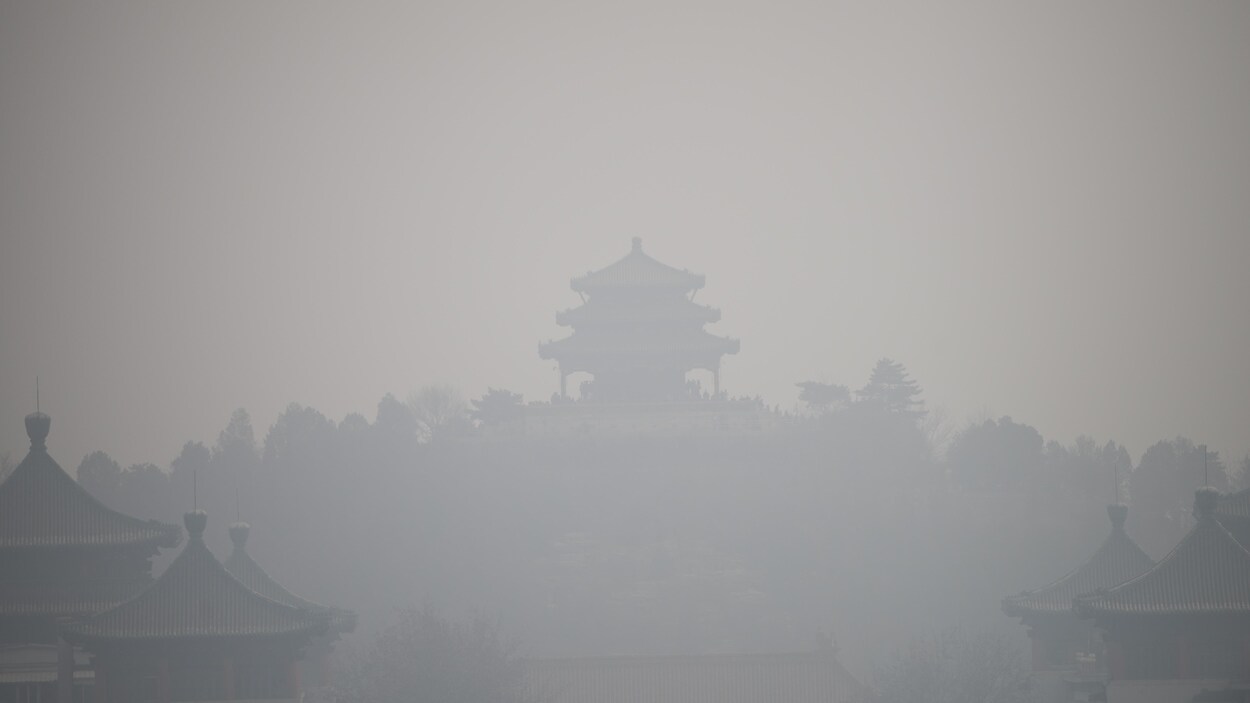 Des bâtiments d'une ville sont difficilement perceptibles à travers la brume. On perçoit la silhouette d'arbres et d'un bâtiment qui en surplombe d'autres.