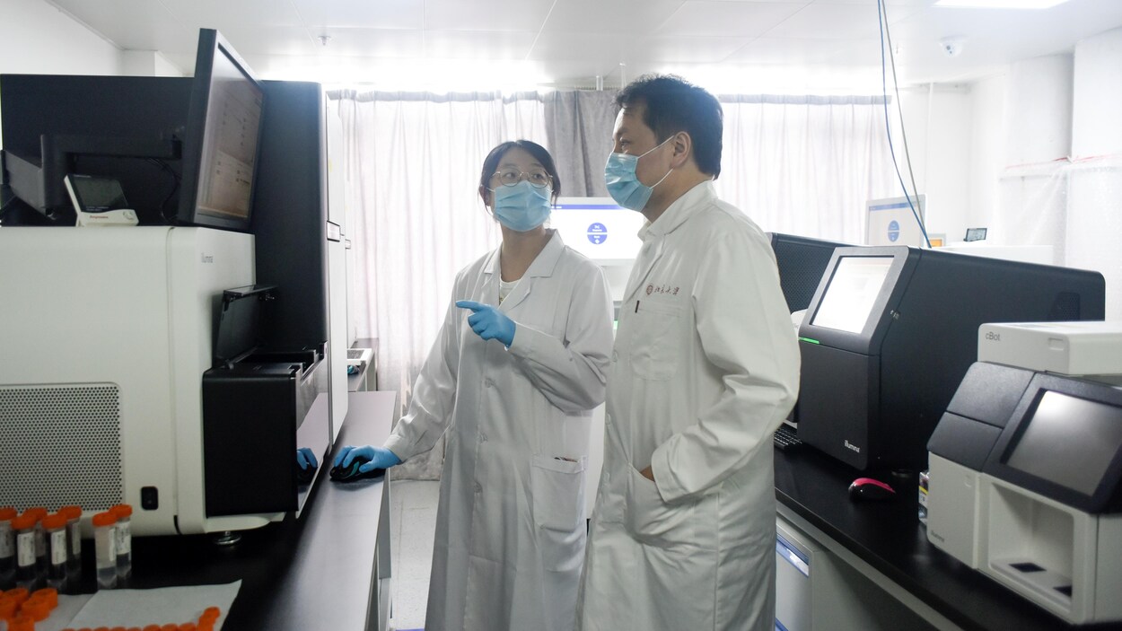 Le Pr Sunney Xie et une collègue dans un laboratoire de l'Université de Pékin.