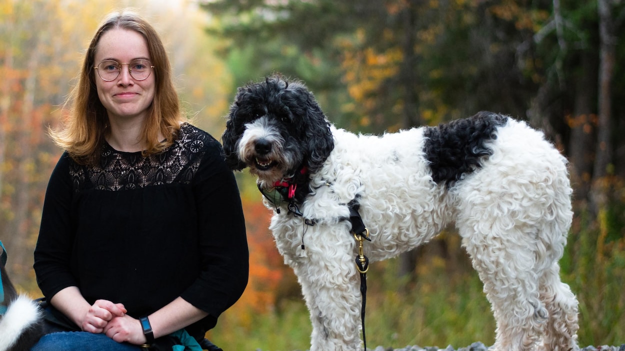 À la recherche du chien perdu