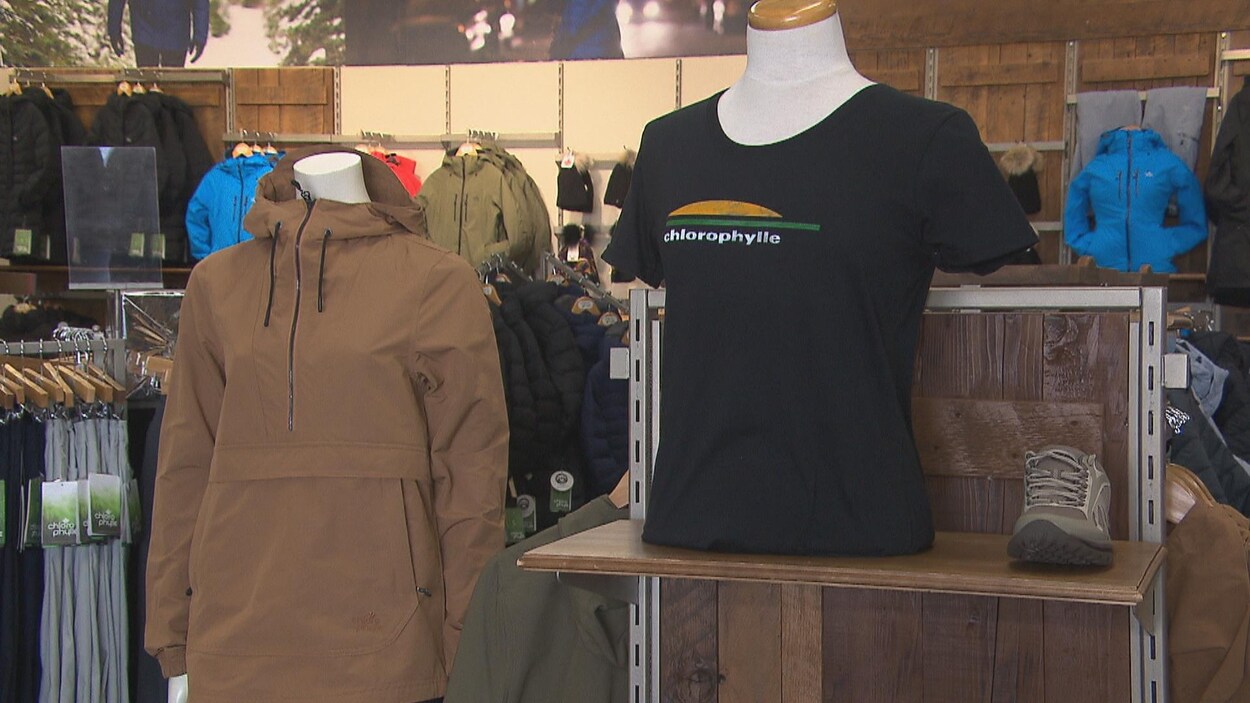 Un t-shirt avec l'ancien logo de Chlorophylle.
