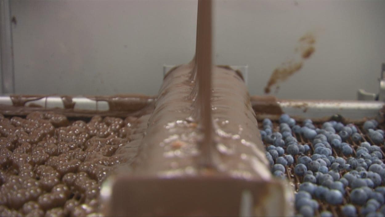 Du chocolat qui coule sur des bleuets