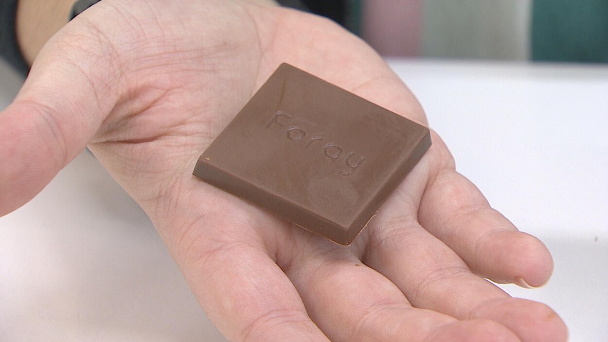 Un carré de chocolat est posé dans la paume d'un main.