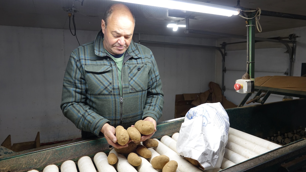 L’autonomie alimentaire des Îles fragilisée