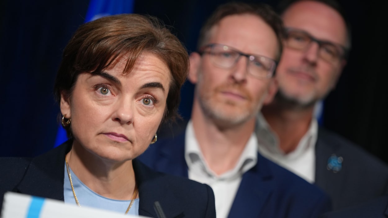Possible ingérence : tirs groupés contre le leadership de Christine Fréchette