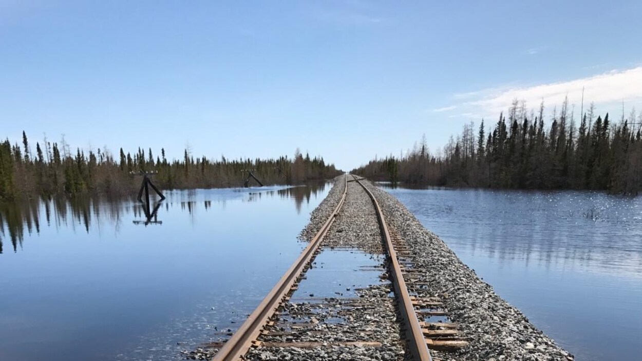 Une voie ferrée émerge à peine d'une zone inondée entourée de forêts.