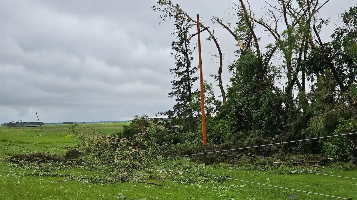 Des tornades et de la grêle de la taille de balles de golf frappent la Saskatchewan