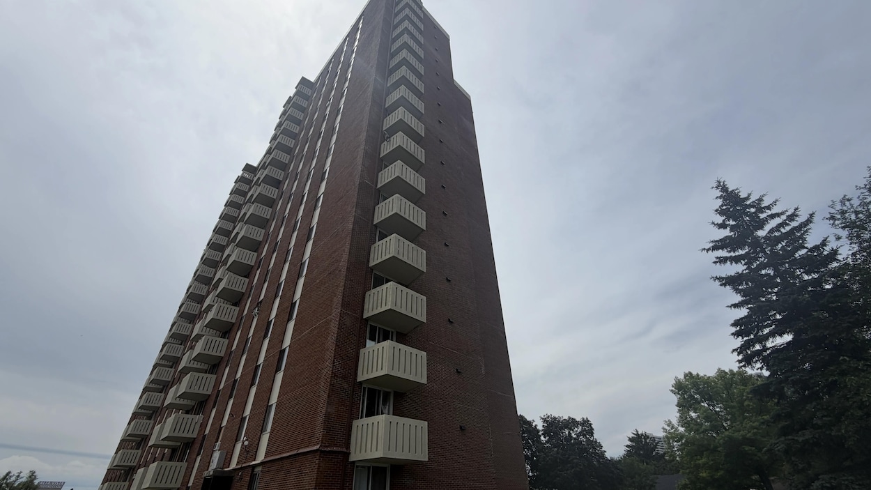 Une enfant dans un état critique après une chute du 11e étage