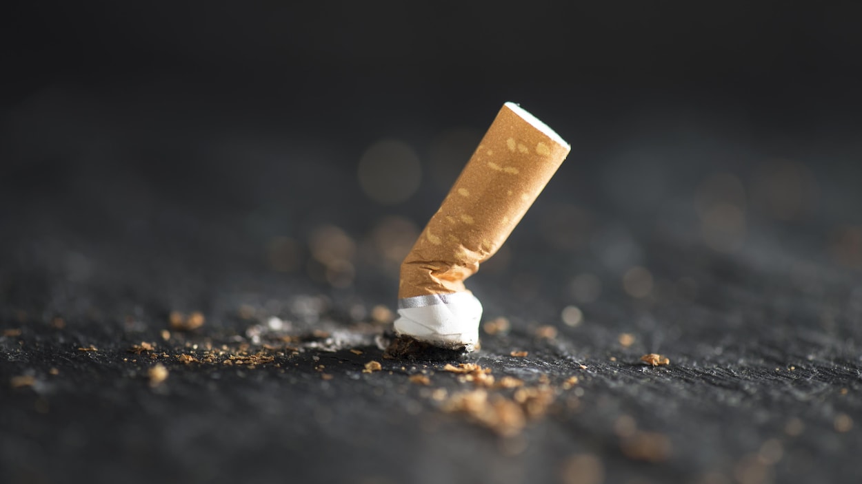 Une cigarette écrasée.