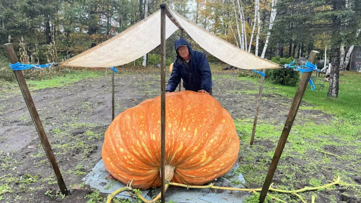 Un cultivateur de citrouilles de Shawville vise le gros lot