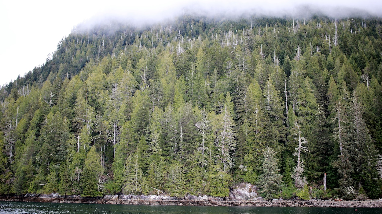 Une consultation publique est en cours pour protéger une partie de