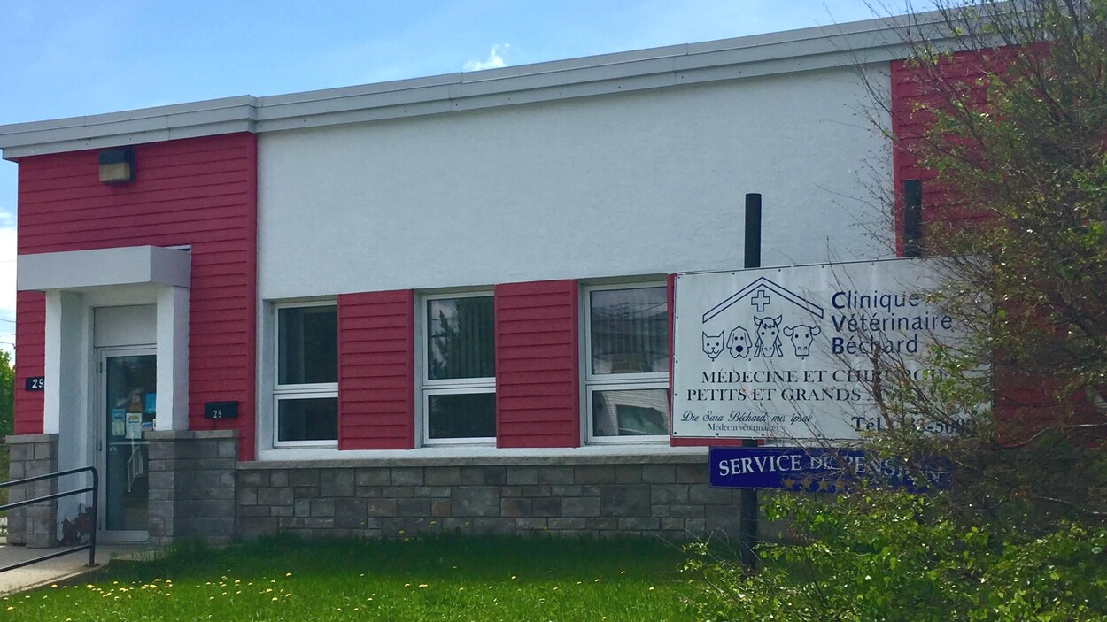 La Clinique Vétérinaire Béchard, de La Sarre.