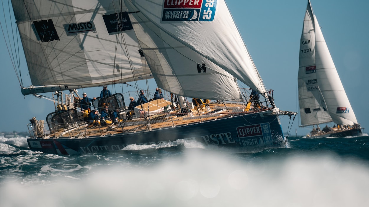 Une course de voile internationale fera escale à Saint-Jean de Terre-Neuve
